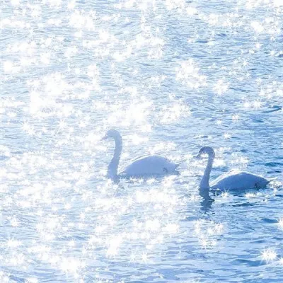 带来好运的微信头像大全第1张