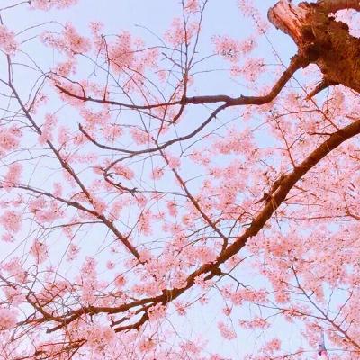 适合妈妈用的微信头像图片第1张