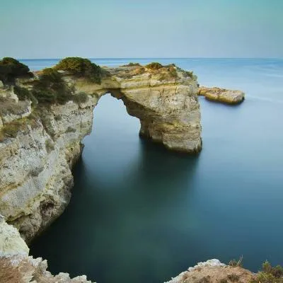 适合爸爸用的微信头像图片第1张