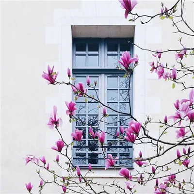 微信最吉利好看的风景头像第1张