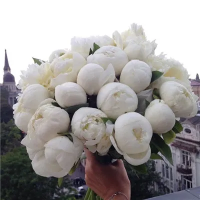 纯洁白色系简单头像图片第1张