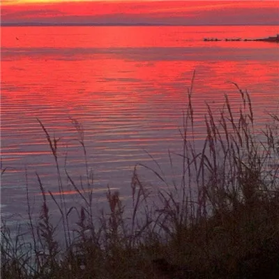 吉祥好运微信头像图片第1张