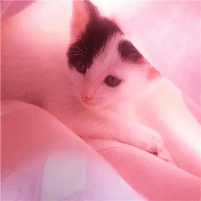 能带来好运的微信头像少女粉第1张