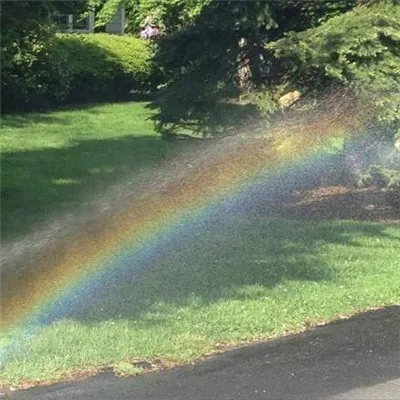 能带来好运的微信头像好看的第1张