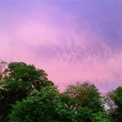 男人最吉利招财的微信头像第1张