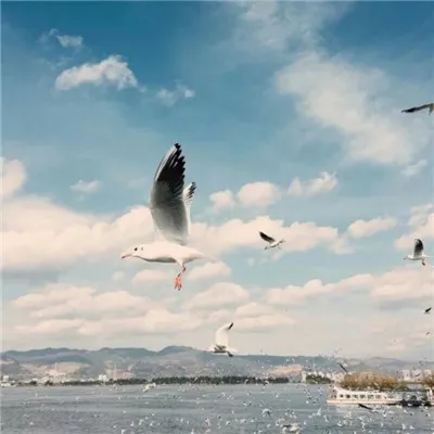 男生微信头像低调成熟大气风景第1张