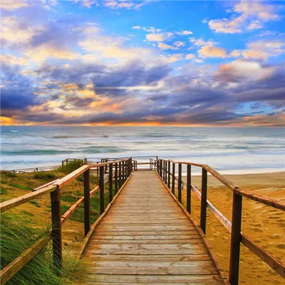 微信最吉利的好看头像风景花草第1张