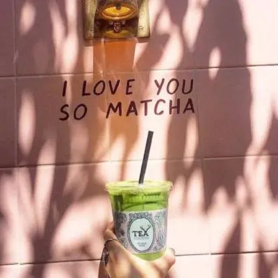 小清新的唯美静物风景微信头像高清第1张