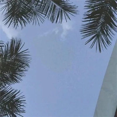 能带来好运的微信头像图片静谧第1张