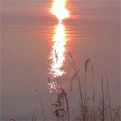 能带来好运的微信头像图片粉红色第1张