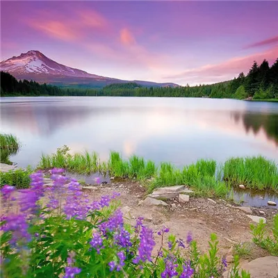 微信最吉利的好看头像风景优美第1张