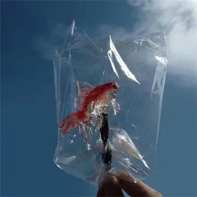 能带来好运的微信头像唯美意境第1张