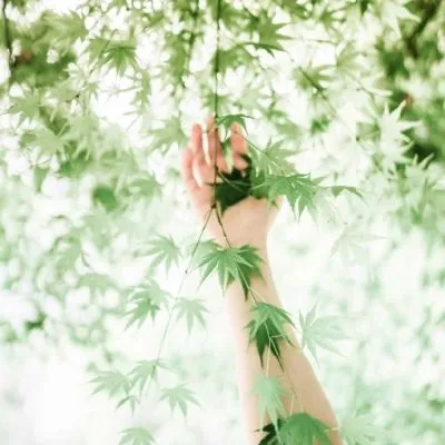 能带来好运的微信头像简单清新第1张