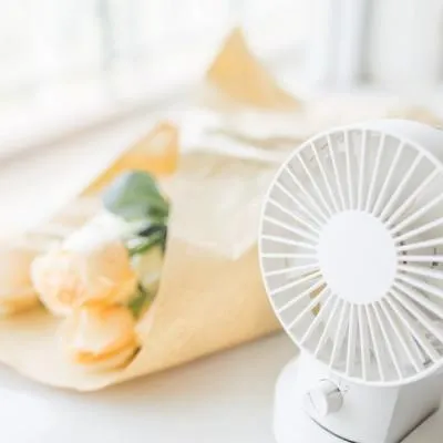 高清好看的小清新唯美静物头像专辑第1张