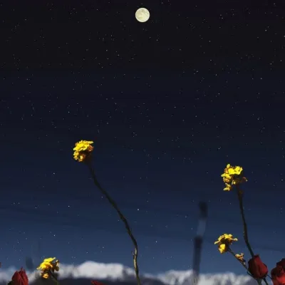 微信风景头像唯美伤感第1张