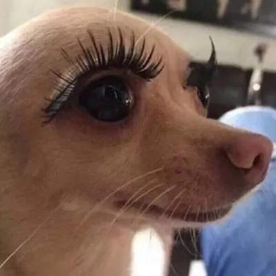 微信搞怪头像精选逗比专属第1张