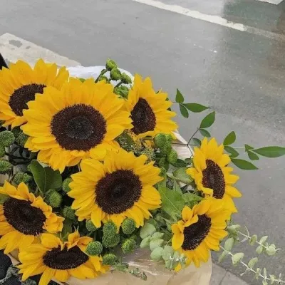 唯美意境风景微信头像2020精选第1张