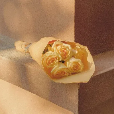 微信风景头像唯美文艺治愈第1张