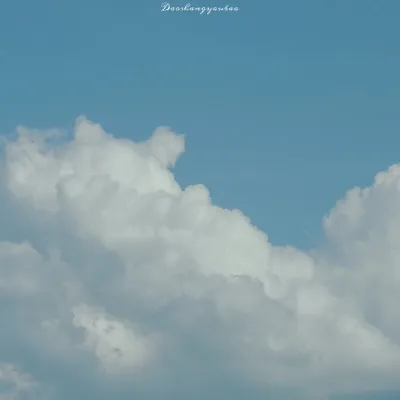 微信头像夏日清新风景图第1张