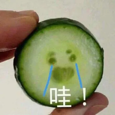 可爱萌宠微信带字搞笑头像第1张