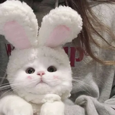 萌妹子可爱到无法自拔的微信头像第1张