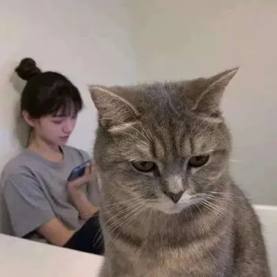 2021笑死人的沙雕搞笑微信头像第1张