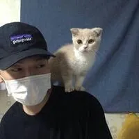 男生头像帅气阳光抱猫图片集第1张