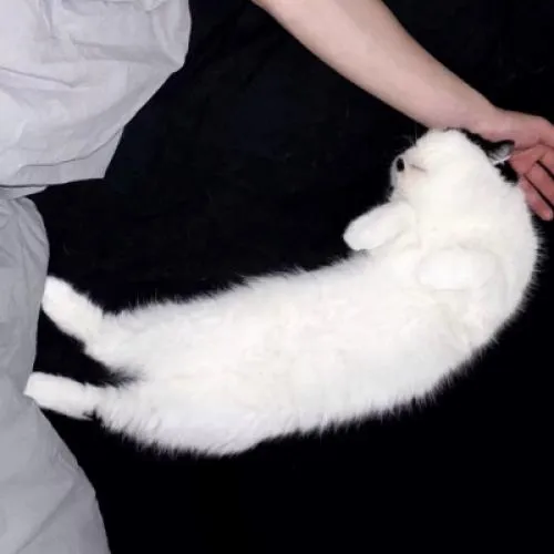 好看的部位头像男生第1张