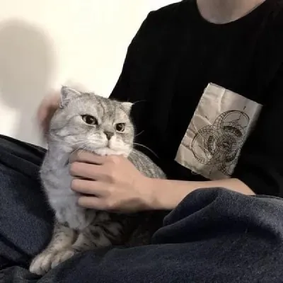 气质头像高清图片男第1张