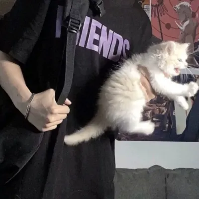 高质量帅气男生头像图片第1张