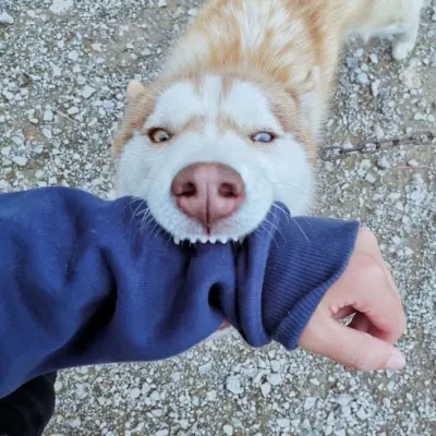 情侣头像搞怪创意一对,高清超可爱搞怪情侣头像一对两张图片第1张