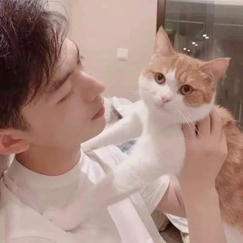 唯美情侣头像两张一组双人第1张