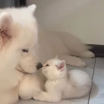 情侣头像一个人一半超级幸福第1张