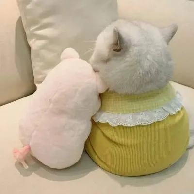 一对清新可爱的情侣头像第1张