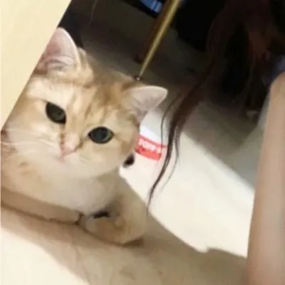 ins风超仙恋人头像一对两张第1张