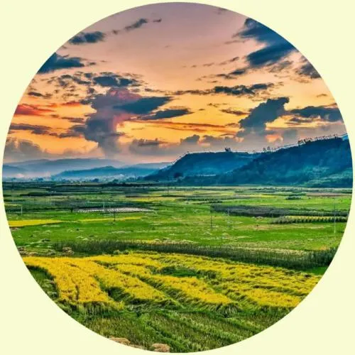 合适永久性做头像的照片第1张