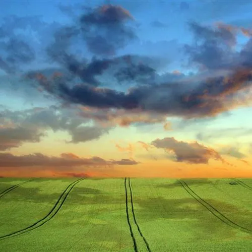 蓝天白云草地手机微信头像高清图第1张