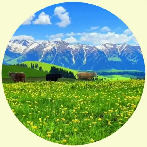 最美丽的风景头像第1张