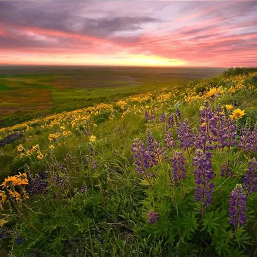 高清超唯美的风景微信头像图片第1张