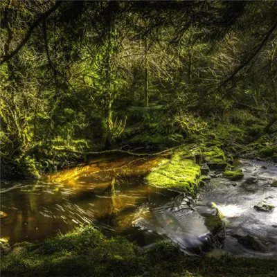高清好看的溪水河流微信头像图片第1张