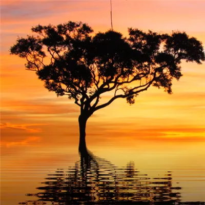 唯美的夕阳 父母辈喜欢的头像第1张