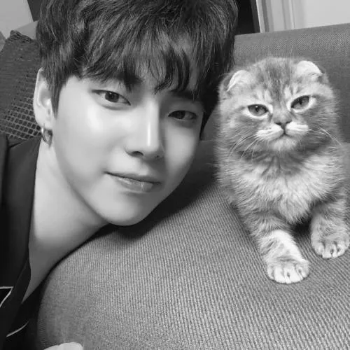 男生头像简单大方黑白第1张