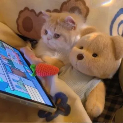 可爱又萌最适合女生的头像第1张