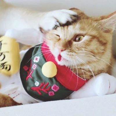 猫狗情侣头像一对第1张