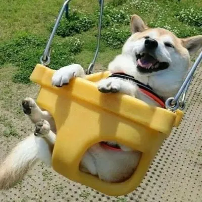 讨人喜欢的两人幸福快乐的情侣头像第1张