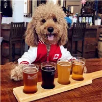 情侣头像动物萌两张第1张