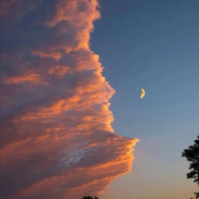 2021适合秋季的橘色夕阳个性头像第1张