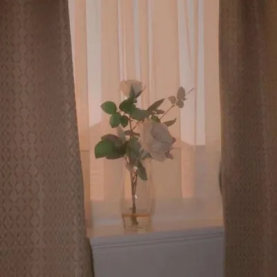 ins风高级的个性微信头像第1张