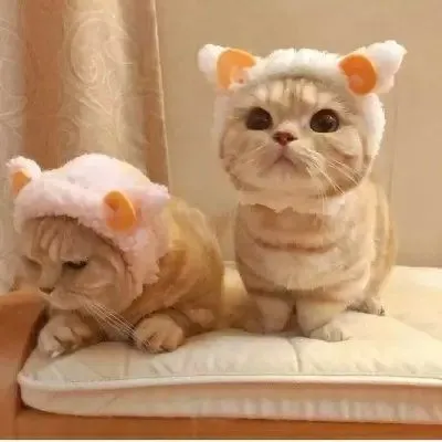 一对两张QQ情侣头像图片第1张