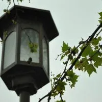 好看的初中群头像第1张